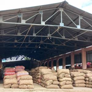Onion_Auction_Shed_2_original_copy_1