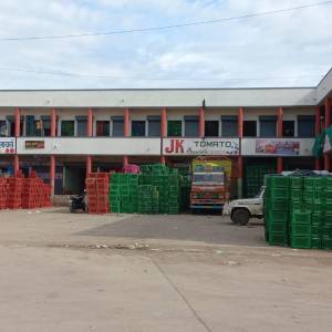 Tomato_Auction_Shed_1_original_copy_1