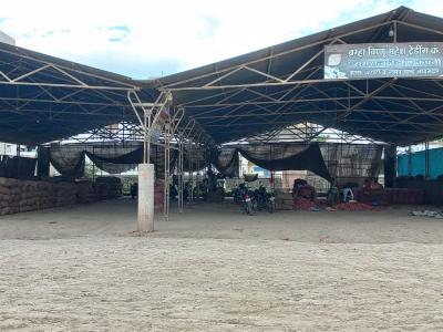Onion Auction Shed